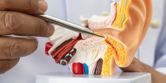 How Do You Prove Noise-Induced Hearing Loss Was Caused by Work?